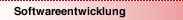 Softwareentwicklung